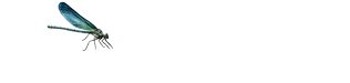 Alyson B Logo